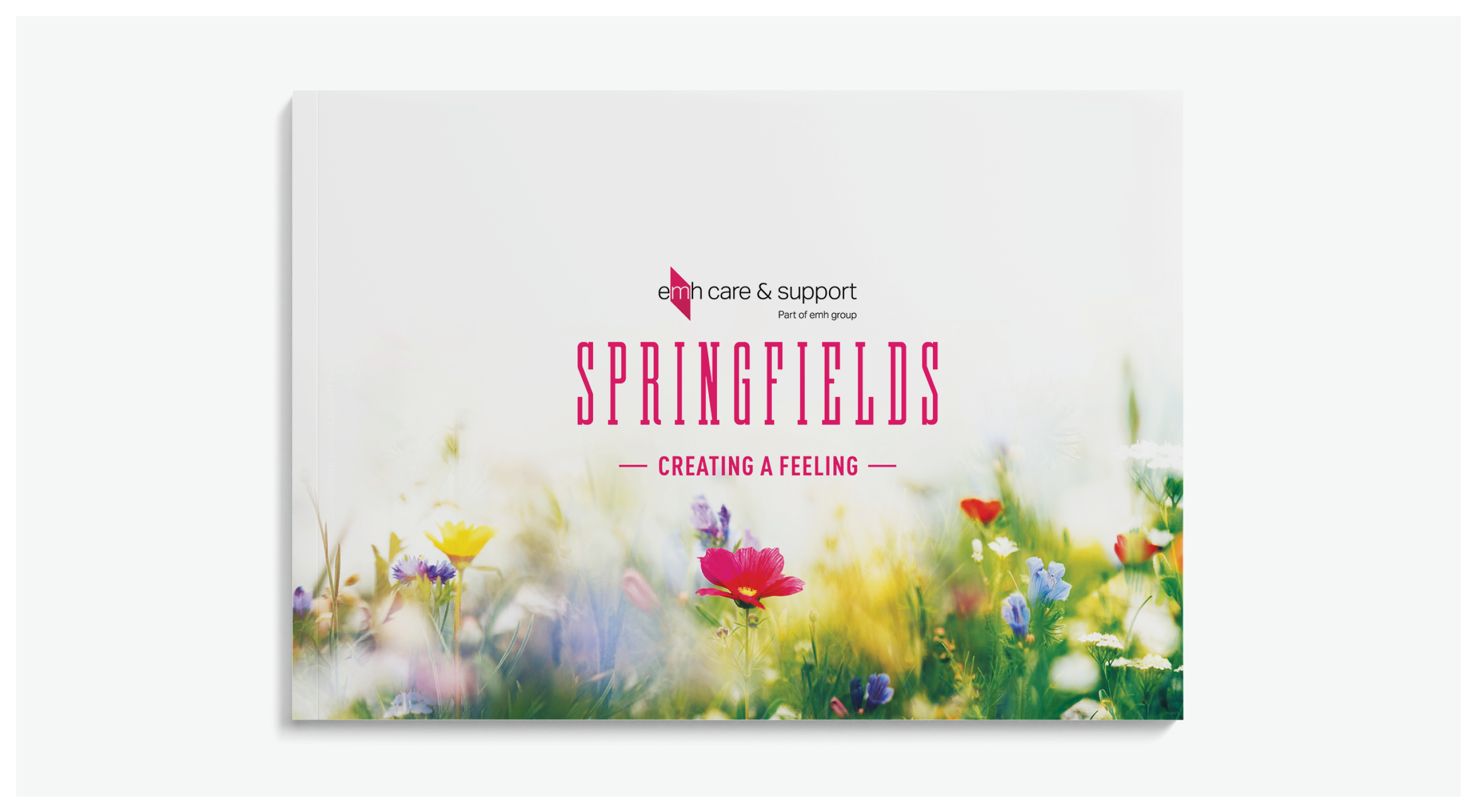 Springfields Brochure